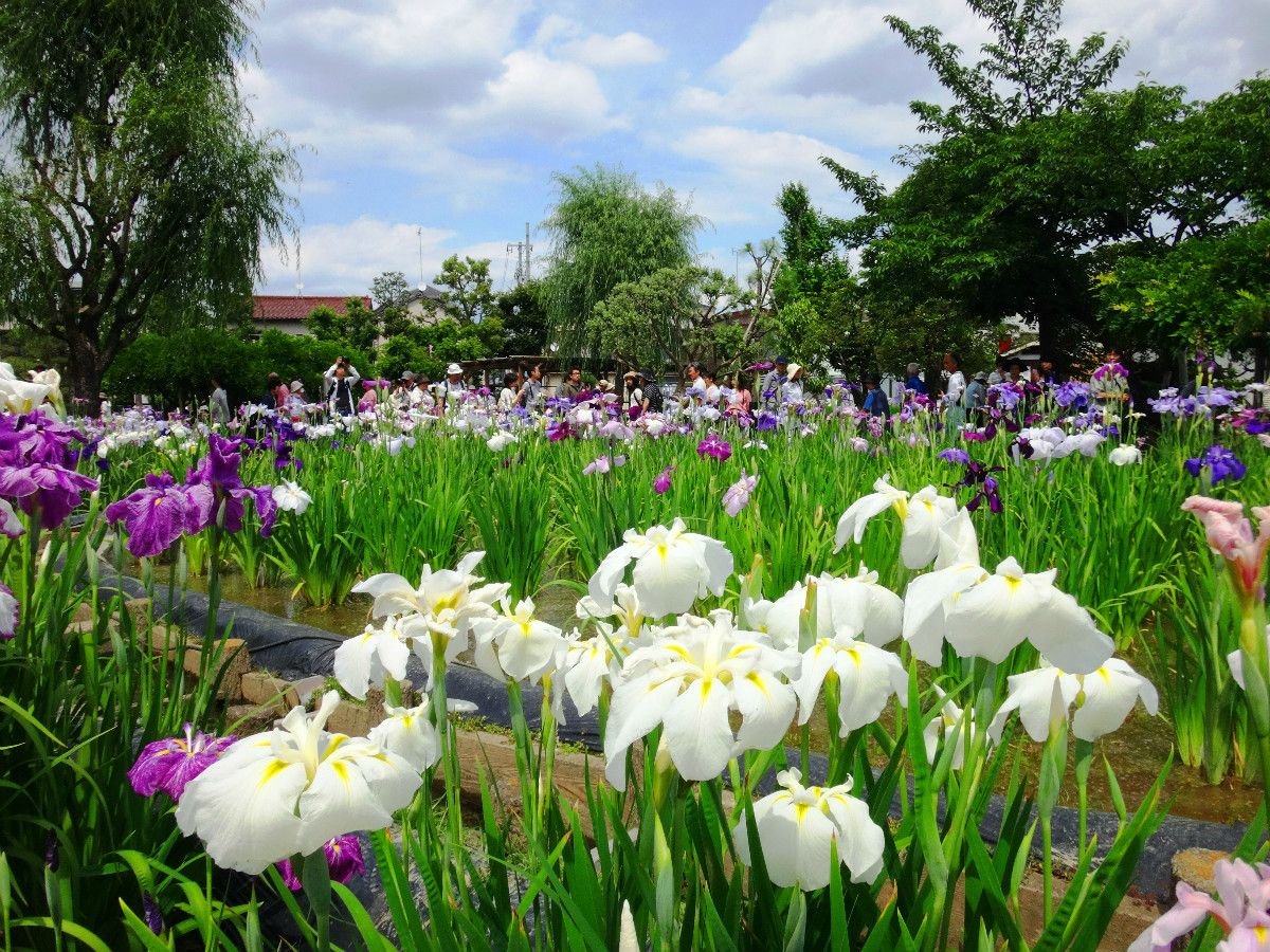 🏞️ 서산의 마을 도원(니시야마노사토 토겐) 이미지 9